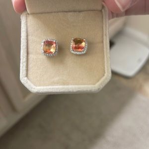 Beautiful new earrings!